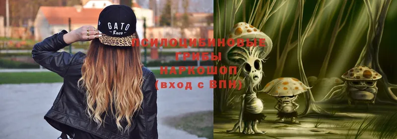 Галлюциногенные грибы Psilocybe  hydra как зайти  Исилькуль 